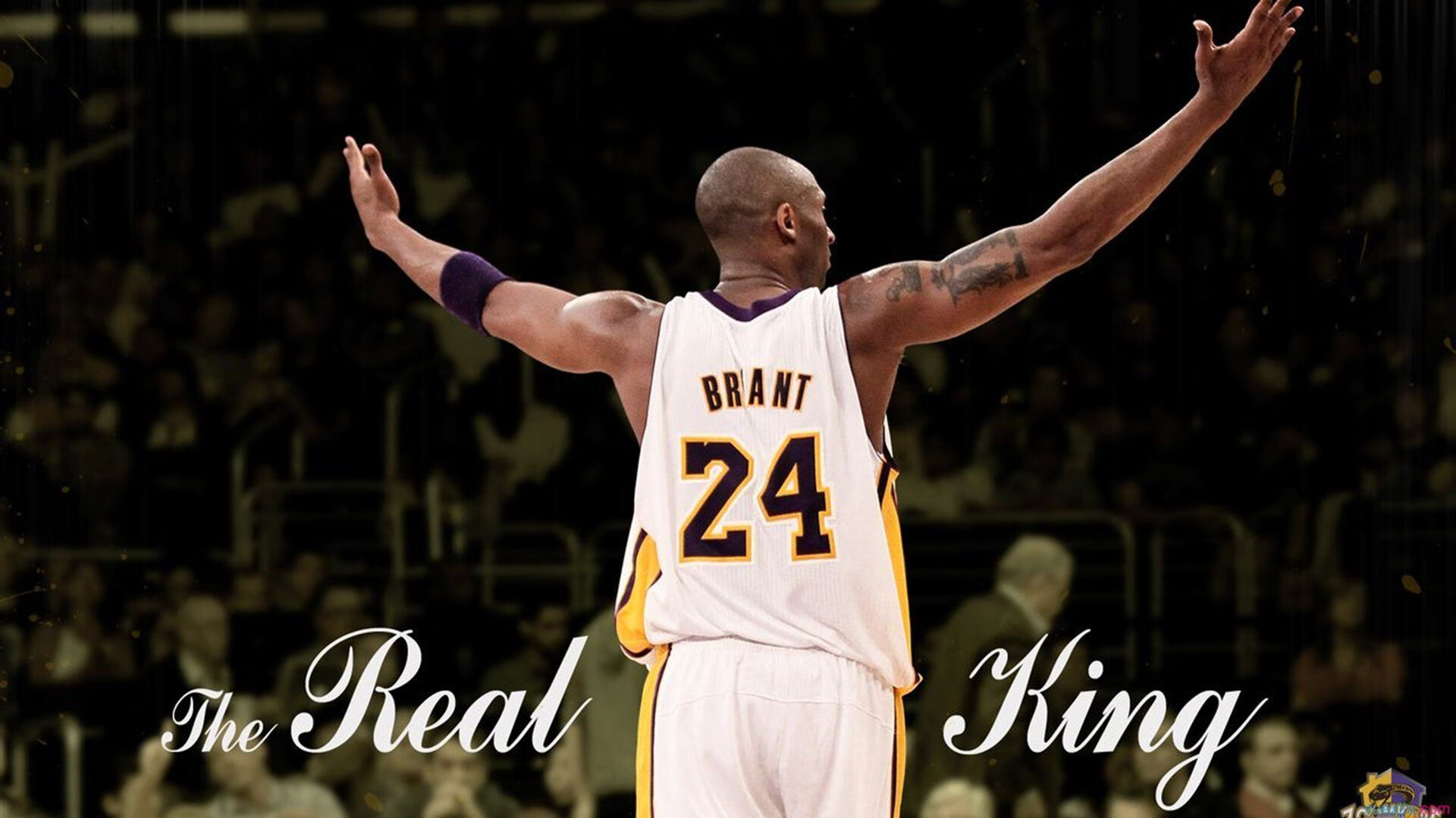 开云体育充值-NBA布里奇斯持球投篮训练揭秘：让你的投篮更加精准