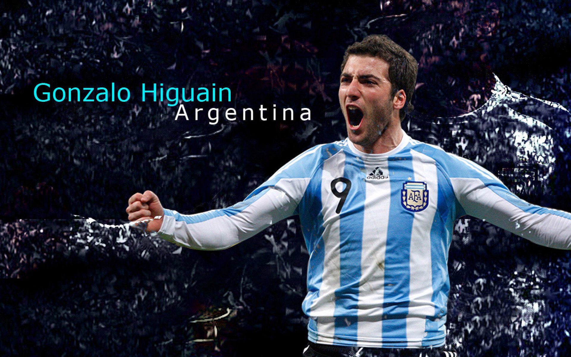 NBA霍勒迪组织与防守双线提升：打造全能战士的秘密武器